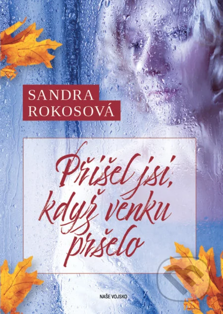 Obálka: Sandra Rokosová – Přišel jsi, když venku pršelo